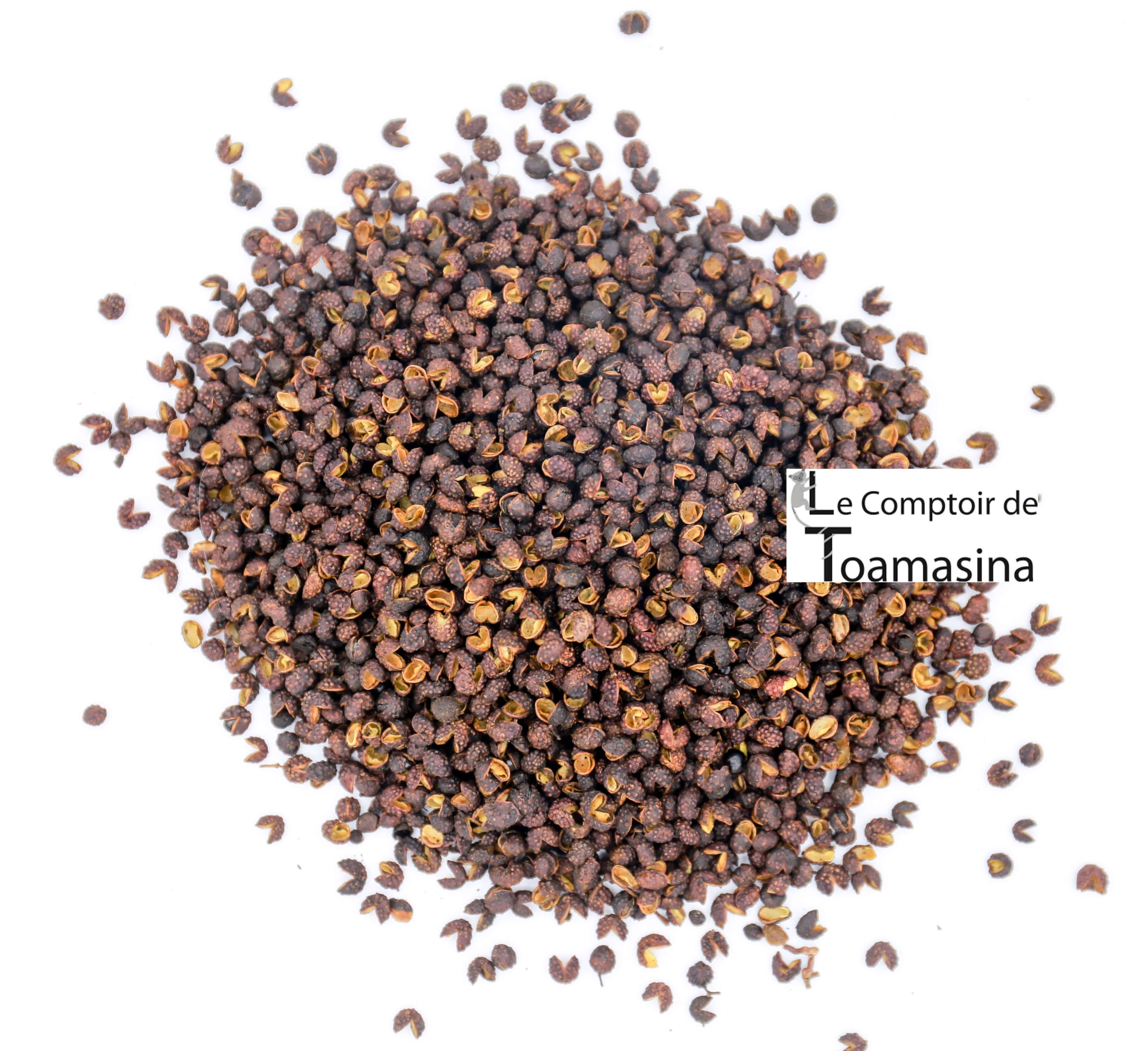 Achat et Vente Poivre Timut ou Baie de Timur du Népal Katmandou